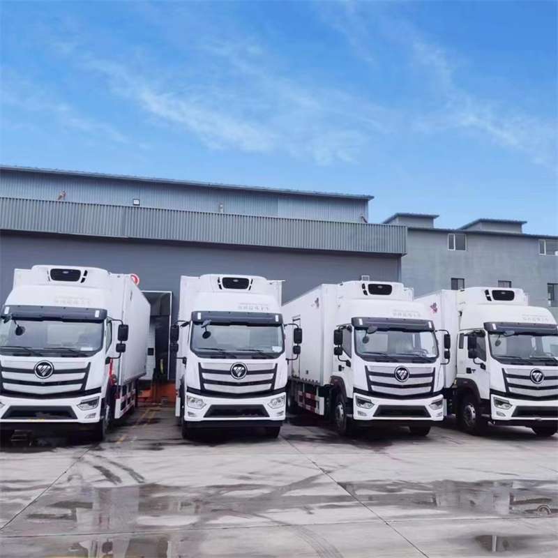 弋阳县新龙县进仓物流：多元专线直达运输探秘